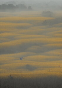 �� �c�� ���i ���R �Î� �^�y�X�g���[ �a�� �a�� ��� �����ɐ� ���N �K�^�F�� �唻 �z�� �Ǐ��� ���� �Ǌ|�� �C���e���A �傫�� �B�e�w�i �����` ���� ���F �O���[