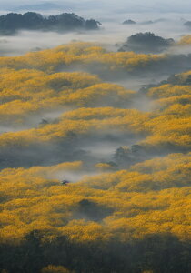 �R �� �� ���R ���i �^�y�X�g���[ �a�� �a�� ��� �����ɐ� ���N �K�^�F�� �唻 �z�� �Ǐ��� ���� �Ǌ|�� �C���e���A �傫�� �B�e�w�i �����` ���� ���F �O���[