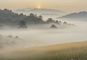 �R �� �� ���� ���i �^�y�X�g���[ �a�� �a�� ��� �����ɐ� ���N �K�^�F�� �唻 �z�� �Ǐ��� ���� �Ǌ|�� �C���e���A �傫�� �B�e�w�i �����` ���� �x�[�W�� �O���[ ��