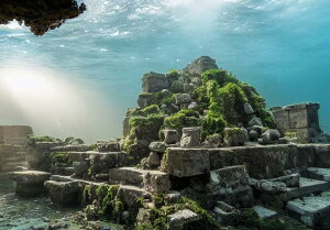  Ki    ^yXg[ C̒ C bNX R 唻 z Ǐ  Ǌ| CeA 傫 Bewi `   O[ 