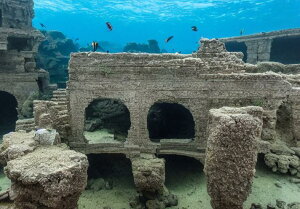 ������� �C��s�s �� �A�[�` �Α� �^�y�X�g���[ �C�̒� �C�� �����b�N�X ���R �唻 �z�� �Ǐ��� ���� �Ǌ|�� �C���e���A �傫�� �B�e�w�i �����` ���� �� �O���[ �x�[�W��