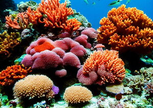 �T���S �C �M�ы� �C�� �C�m���� �^�y�X�g���[ �C�̒� ���R �唻 �z�� �Ǐ��� ���� �Ǌ|�� �C���e���A �傫�� �B�e�w�i �����` ���� �� �I�����W �x�[�W��