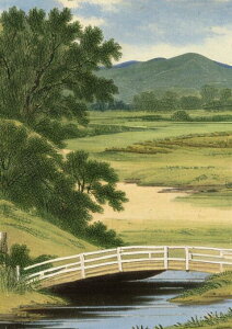 ���i�� �� ���R �c�����i �R �^�y�X�g���[ ������ ���i �A�[�g�� �G�敗 �C���e���A �J���t�� ��^ �唻 �z�� �Ǐ��� ���� �Ǌ|�� �傫�� �B�e�w�i �����` ���� �� �� ��