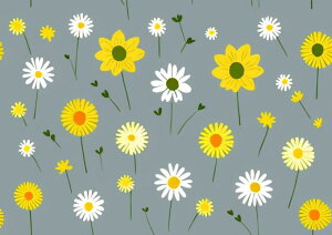 �� �f�C�W�[ �t ���R �A�� �^�y�X�g���[ �k�� ���� �唻 �A�[�g �C���e���A ��^ �z�� �Ǐ��� ���� �Ǌ|�� �傫�� �B�e�w�i �����` ���� �O���[ �� ���F