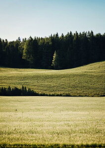 ���i ���R �X�� ���� �u �^�y�X�g���[ �k�� �c�� �唻 �C���e���A ��^ �z�� �Ǐ��� ���� �Ǌ|�� �傫�� �B�e�w�i �����` ���� �� ��