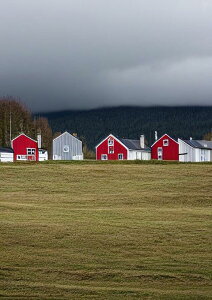 �� �_�� ���i �܂�� ���R �^�y�X�g���[ �k�� �c�� �唻 �C���e���A ��^ �z�� �Ǐ��� ���� �Ǌ|�� �傫�� �B�e�w�i �����` ���� �� �O���[ ��