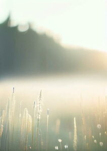 �� �� �� �� ���R �^�y�X�g���[ �k�� �c�� �唻 �C���e���A ��^ �z�� �Ǐ��� ���� �Ǌ|�� �傫�� �B�e�w�i �����` ���� �� �x�[�W�� �O���[