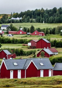 �� �_�� ���i ���R �X�J���W�i�r�A �^�y�X�g���[ �k�� �c�� �唻 �C���e���A ��^ �z�� �Ǐ��� ���� �Ǌ|�� �傫�� �B�e�w�i �����` ���� �� �O���[ ��