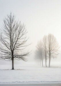 �~ �� �� �� ���i �^�y�X�g���[ �k�� �c�� �唻 �C���e���A ��^ �z�� �Ǐ��� ���� �Ǌ|�� �傫�� �B�e�w�i �����` ���� �� �O���[