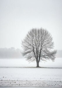 �� �~ �� ���i �Ǔ� �^�y�X�g���[ �k�� �c�� �唻 �C���e���A ��^ �z�� �Ǐ��� ���� �Ǌ|�� �傫�� �B�e�w�i �����` ���� �� �O���[