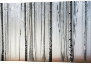 ���� �� �X ���i �Î� �^�y�X�g���[ �C���e���A �k�� �؍� ���� �唻 ��^ �z�� �Ǐ��� ���� �Ǌ|�� �傫�� �B�e�w�i �����` ���� �� �O���[ �x�[�W��