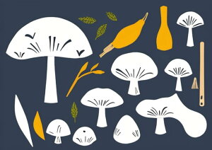 �L�m�R �t �A�� ���R �H �^�y�X�g���[ �G�� �C���e���A ���� �k�� �唻 ��^ �z�� �Ǐ��� ���� �Ǌ|�� �傫�� �B�e�w�i �����` ���� �� �� ���F