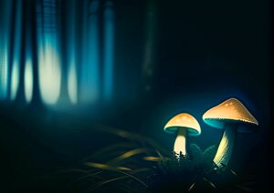 �L�m�R �ۗ� �X �� �� �^�y�X�g���[ �G�� �C���e���A ���� �k�� �唻 ��^ �z�� �Ǐ��� ���� �Ǌ|�� �傫�� �B�e�w�i �����` ���� �� ���F �x�[�W��