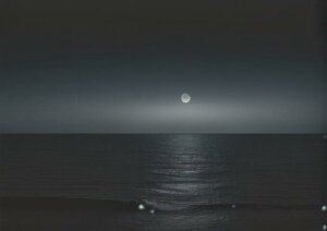 �� �C �� �Î� �ґz �^�y�X�g���[ ���� �C���e���A �O�b�Y �唻 ��^ �z�� �Ǐ��� ���� �Ǌ|�� �傫�� �B�e�w�i �����` ���� �O���[ �� ��