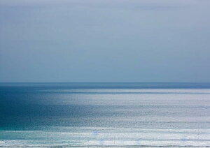 �C ���� �� �i�F �Î� �^�y�X�g���[ ���� �C���e���A �O�b�Y �唻 ��^ �z�� �Ǐ��� ���� �Ǌ|�� �傫�� �B�e�w�i �����` ���� �� �O���[ ��