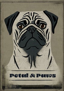 �p�O �� �y�b�g ���� �C���X�g �^�y�X�g���[ ���� �C���e���A �唻 ��^ �z�� �Ǐ��� ���� �Ǌ|�� �傫�� �B�e�w�i ���� �O���[ �� �x�[�W��