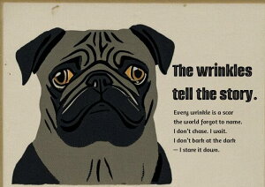 �p�O �� ���� �y�b�g �ё��� �^�y�X�g���[ ���� �C���e���A �唻 ��^ �z�� �Ǐ��� ���� �Ǌ|�� �傫�� �B�e�w�i ���� �� �O���[ �x�[�W��