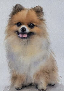 �� �|�����j�A�� ���� �y�b�g ���ʉ� �^�y�X�g���[ ���� �C���e���A �唻 ��^ �z�� �Ǐ��� ���� �Ǌ|�� �傫�� �B�e�w�i ���� �x�[�W�� ���F �O���[