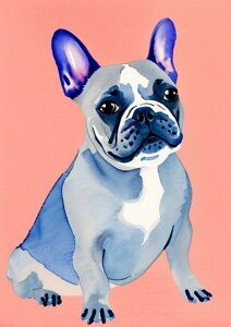 �t�����`�u���h�b�O �� ���� ���ʉ� �y�b�g �^�y�X�g���[ �C���e���A �唻 ��^ �z�� �Ǐ��� ���� �Ǌ|�� �傫�� �B�e�w�i ���� �� �O���[ �s���N