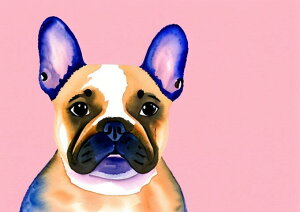 �t�����`�u���h�b�O �� ���� �y�b�g ���ʉ� �^�y�X�g���[ �C���e���A �唻 ��^ �z�� �Ǐ��� ���� �Ǌ|�� �傫�� �B�e�w�i ���� �s���N �x�[�W�� ��