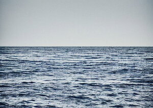 �C ���� �g �� ���R �^�y�X�g���[ �k�� �C���e���A �唻 ��^ �z�� �Ǐ��� ���� �Ǌ|�� �傫�� �B�e�w�i ���� �� �� �O���[