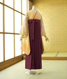 ＼10%早期割引クーポン／ 袴 セット レンタル 女性 女袴 《身長》151cm〜161cm 着物レンタル 卒業式 はかま 教職員 教員 大学 先生 短大 専門学校 高校 中学 大人 往復送料無料 新品足袋プレゼント 色無地 二尺袖 はかま 草履 ブーツ丈対応 安い 袴レンタル