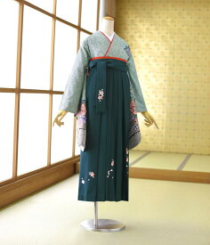＼10%早期割引クーポン／ 卒業式 袴 レンタル 袴 セット 女袴 《身長》154cm〜170cm 着物レンタル はかま 教職員 教員 先生 大学 短大 専門学校 高校 中学 大人 往復送料無料 新品足袋プレゼント 色無地 二尺袖 はかま 草履 ブーツ丈対応 安い