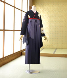 ＼10%早期割引クーポン／ 袴 セット 卒業式 女性 レンタル 女袴 《身長》151cm〜166cm 着物レンタル 大学 はかま 教職員 教員 先生 大学 短大 専門学校 高校 中学 大人 往復送料無料 新品足袋プレゼント 色無地 二尺袖 はかま 草履 ブーツ丈対応 安い 袴レンタル