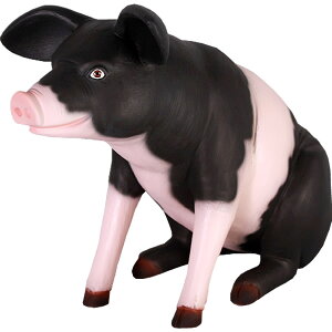 FRPAj}IuWF 䂩ȓ؂ijBR/P&B/RSy[z@u  u^ Ԃ F uE  X JtF iX Xg HX CeA Cxg fBXvC  