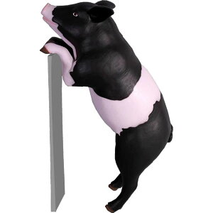 FRPAj}IuWF DS̉ȓ؁y[zu  u^ Ԃ  X JtF iX Xg HX CeA Cxg fBXvC  g A ywhlnyz