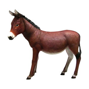 FRPAj}IuWF hL[u  o   X JtF iX Xg HX CeA Cxg fBXvC  g A ywhlnyz