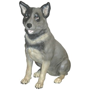 FRPAj}IuWF ɂ܂u   Ck   X JtF iX Xg HX CeA Cxg fBXvC  g A gtBMA ywhlny