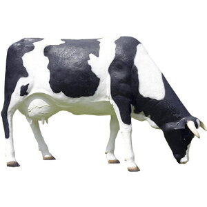 FRPAj}IuWF ꂳu  EV   X JtF iX Xg HX CeA Cxg fBXvC  g A ywhlnyz