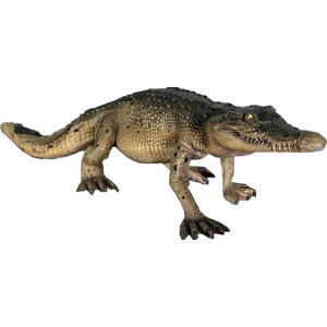 FRPAj}IuWF NR_CE120cmu  j  X JtF iX Xg HX CeA Cxg fBXvC  g A gtBMA ywhlny