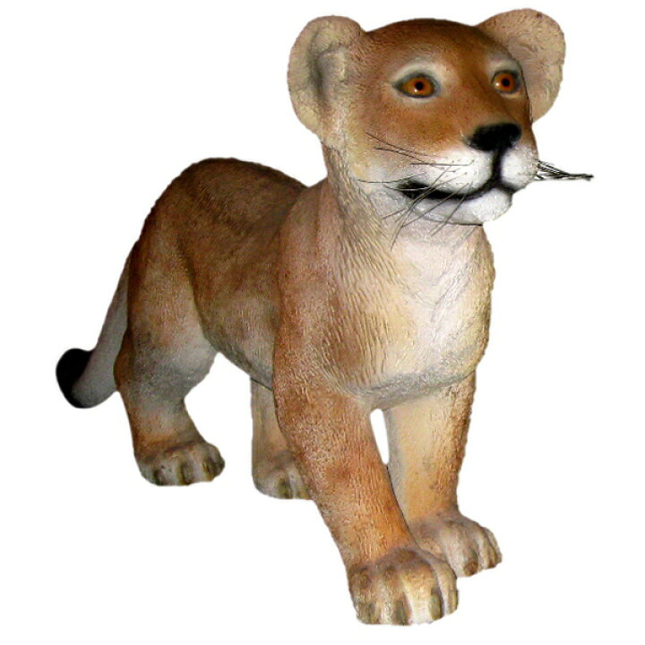 楽天市場】FRPアニマルオブジェ 歩く子ライオン置物 動物 ライオン 