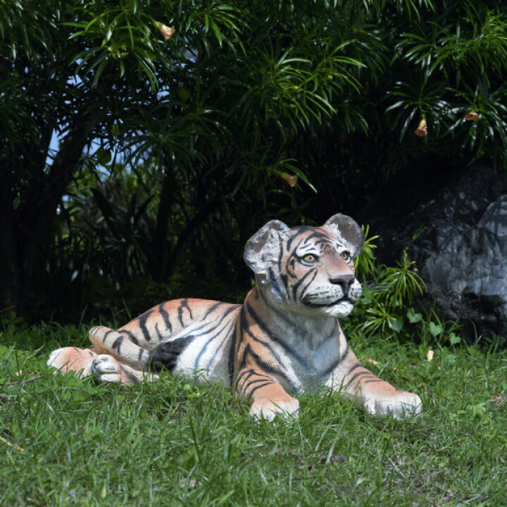 楽天市場】FRPアニマルオブジェ 見つめる子タイガー置物 動物 虎 トラ 