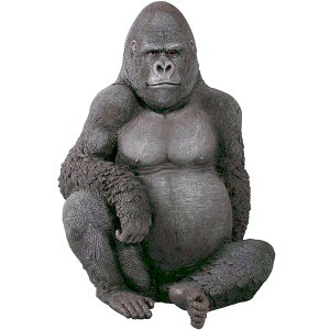 FRPAj}IuWF IRSy[zIuWF IuWF IuWF u CeA fBXvC  Aj} S   X JtF iX Xg 