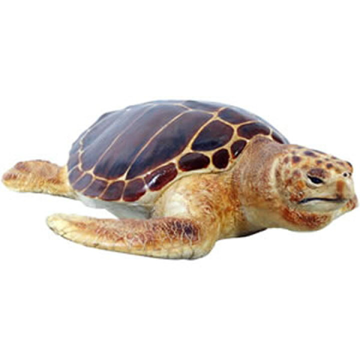 楽天市場 Frpアニマルオブジェ 産卵場所を探すアカウミガメ 置物 動物 亀 カメ かめ 動物園 水族館 店舗 カフェ 喫茶店 レストラン 飲食店 インテリア イベント ディスプレイ 実物大 等身大 リアル 等身大フィギュア Whlny 通販ショップcaruna