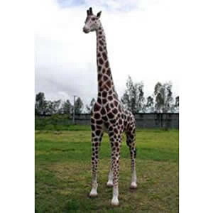 FRPAj}IuWF eLIuWF tBMA u tBMA  Aj} i L  X JtF iX Xg HX CeA Cxg fBXvC 