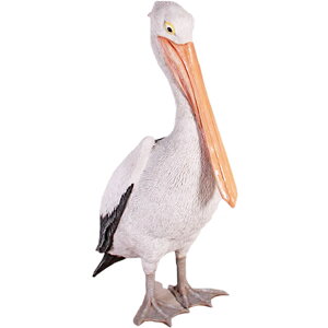 FRPAj}IuWF ܂yJu    X JtF iX Xg HX CeA Cxg fBXvC  g A ywhlnyz