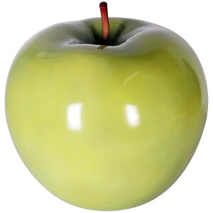 FRPIuWF /n񂲁y[zu ʕ t[c ь S X Cxg fBXvC  g A gtBMA ywhlnyz