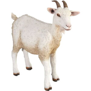 FRPAj}IuWF q€̒y[zu  Rr M  X JtF iX Xg HX CeA Cxg fBXvC  g A ywhlnyz