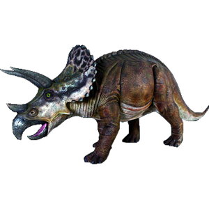 FRPIuWF gPgvXu I H p W{  X Cxg fBXvC  g A ywhlnyz