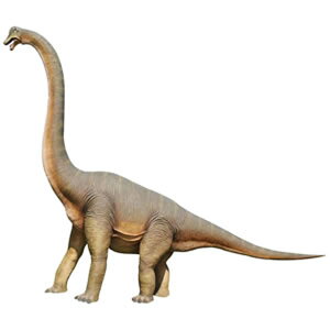 FRPIuWF uLITEXu WI H r W{  X Cxg fBXvC  g A ywhlnyz