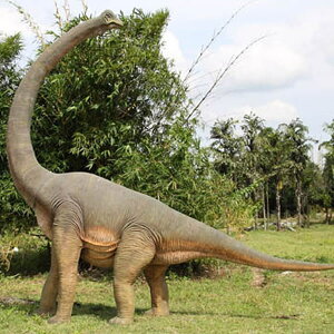 FRPIuWF UuLITEXu WI H r W{  X Cxg fBXvC  g A ywhlnyz