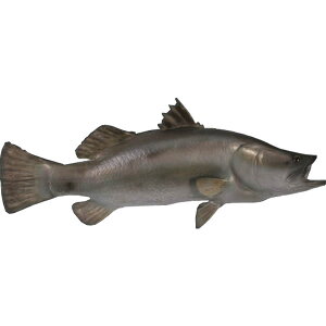 FRPAj}IuWF o}fBu   AJ   X JtF iX Xg HX CeA Cxg fBXvC  g A ywhlnyz