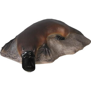 FRPAj}IuWF ΂̏̃JmnVy[zu  ̂͂  X JtF iX Xg HX CeA Cxg fBXvC  g A ywhlnyz