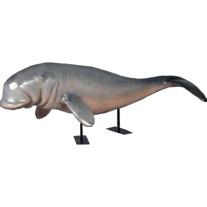 FRPAj}IuWF WSEX^h^Cvu  ゲ   X JtF iX Xg HX CeA Cxg fBXvC  g A ywhlnyz