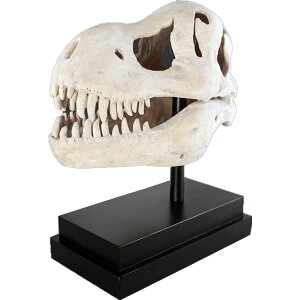 FRPIuWF T-Rex̓u I H br eBmTEX eB[bNX W{   X Cxg fBXvC  g A gtBMA ywhlnyz