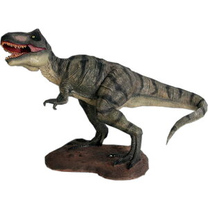 FRPIuWF ^T-rexy[zu I H br eBmTEX eB[bNX W{  WVbN[h X Cxg fBXvC  g A 